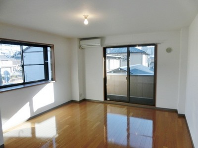 Living and room. Bright Western-style flooring-clad two-sided lighting.