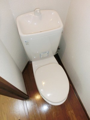 Toilet. Simple toilet.