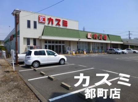 Supermarket. Kasumi Metropolitan Town, to the store 629m