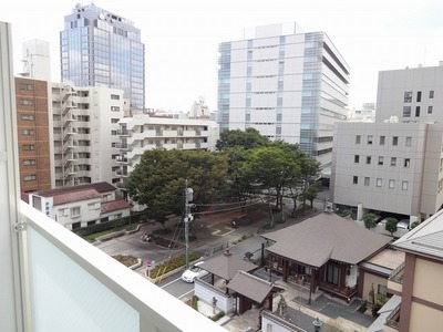 View. The park from the veranda, Looks.