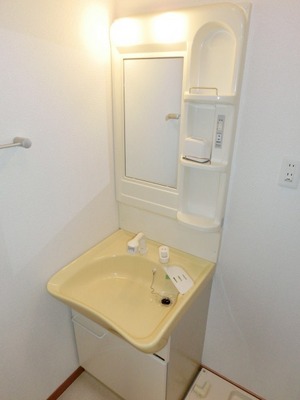 Washroom. Convenient independent vanity