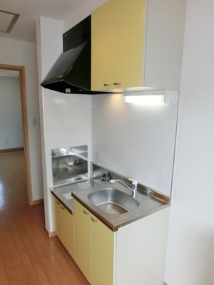 Kitchen. Two-burner gas stove can be installed