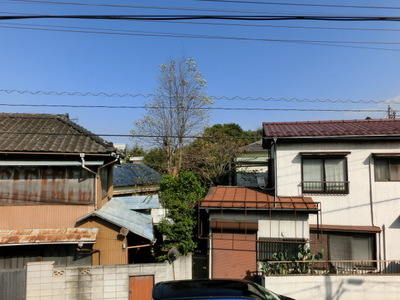 View. View from the second floor