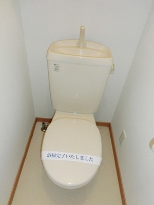 Toilet. Toilet