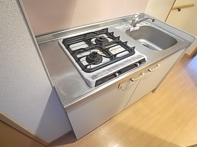 Kitchen. Two-burner stove with