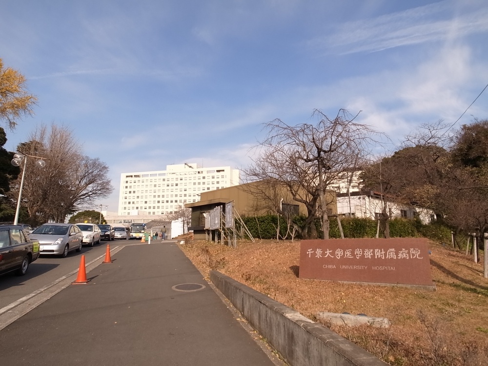 Hospital. Chiba 703m to the hospital (hospital)