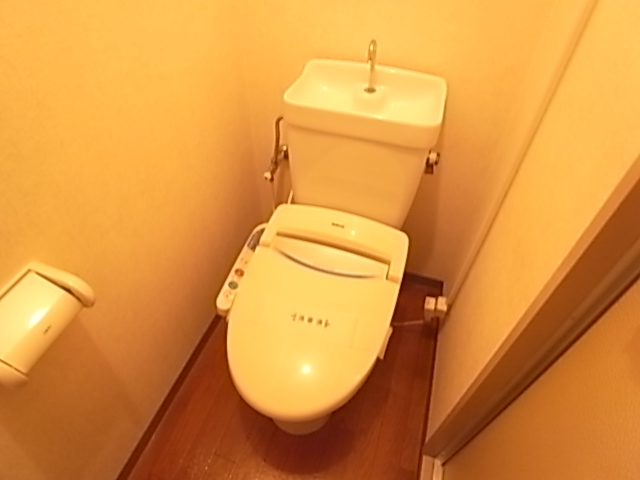 Other. Toilet comfortable Washlet!