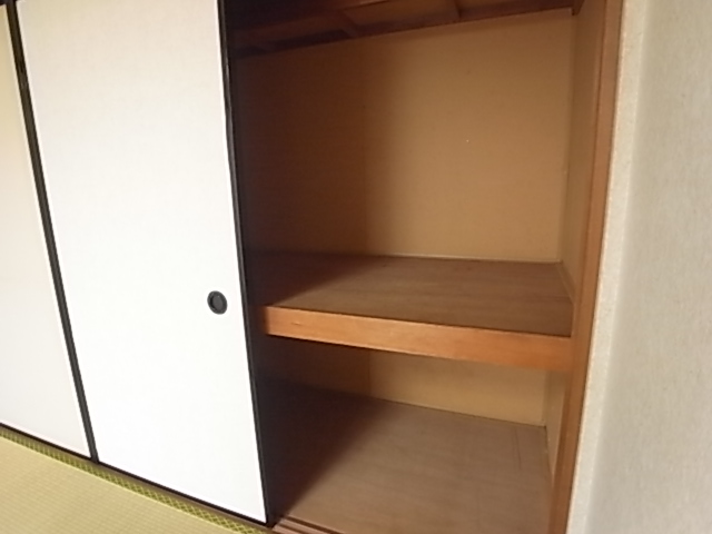 Other. It is a large closet!