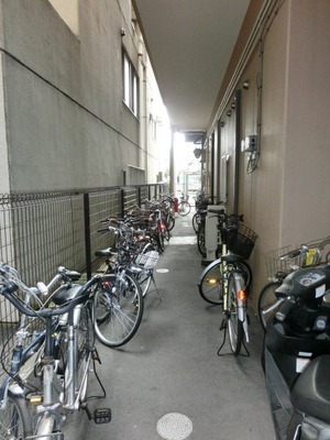 Parking lot. Bicycle parking space.