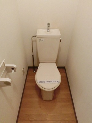 Toilet. Simple toilet.