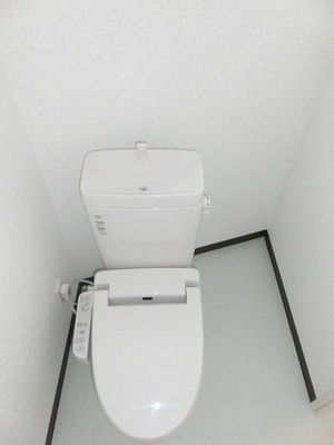 Toilet. Washlet toilet