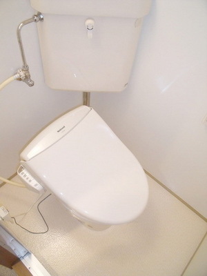 Toilet. Washing machine with a toilet seat