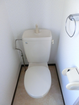 Toilet. Toilet