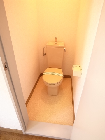 Toilet. Also spacious toilet.