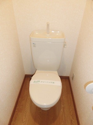 Toilet. Standard toilets