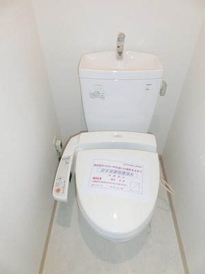 Toilet. It is with cleaning function