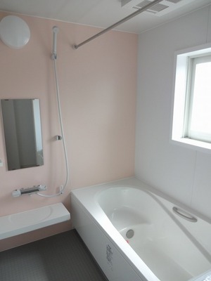 Bath. Bathroom with the color of one point. 