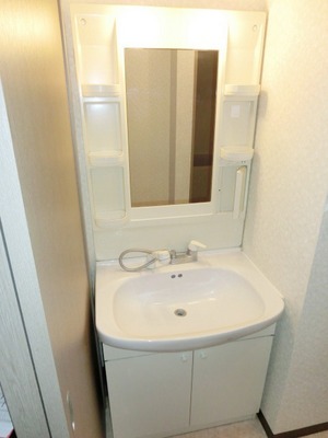 Washroom. Bathroom Vanity