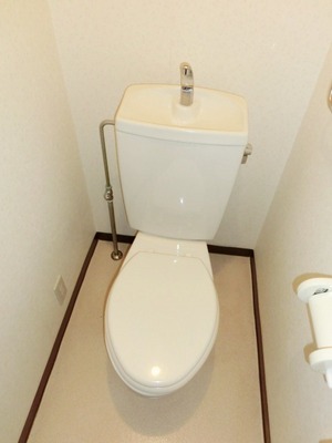 Toilet. Toilet