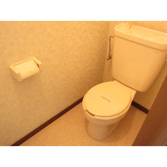 Toilet. Toilet Separate