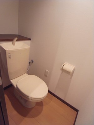 Toilet. Toilet is with a cabinet