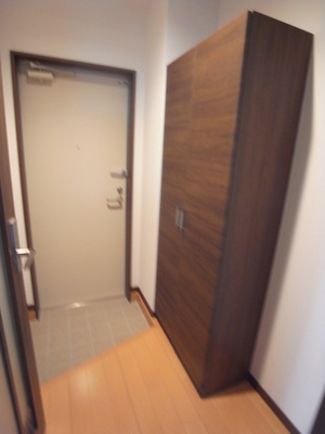 Entrance. In the cupboard of tall size, There is a storage capacity.