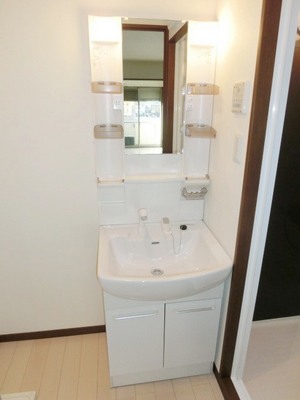 Washroom. Convenient Vanity