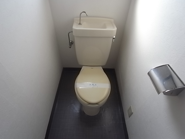 Other. It is a toilet with a clean