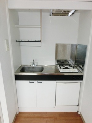 Kitchen. Compact mini-kitchen.