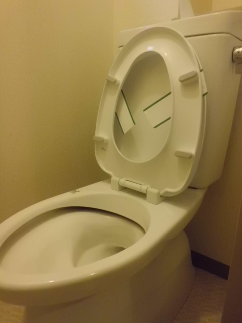 Toilet