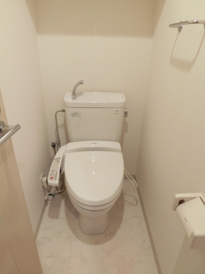 Toilet. Bidet with toilet