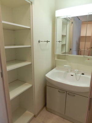 Washroom. Shampoo dresser