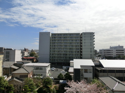 View. The fifth floor is the view from the balcony