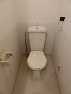 Toilet. It is a toilet with a clean