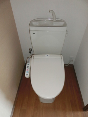 Toilet. With cleaning function.