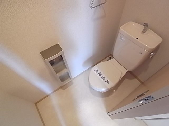 Other. It is a toilet with a clean