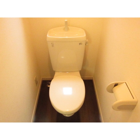 Toilet. Toilet Separate