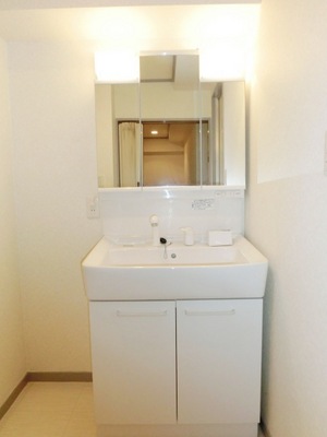 Washroom. Bathroom Vanity