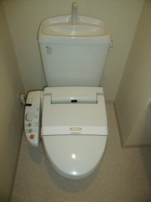 Toilet. Warm water washing toilet seat