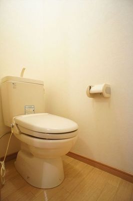 Toilet. It has been taken leisurely space!