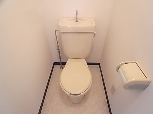 Toilet. It is a simple toilet