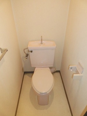 Toilet. Separate toilet.