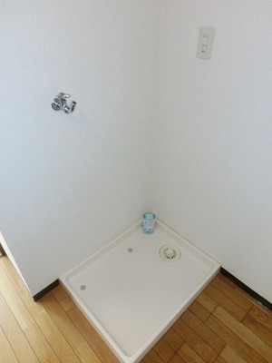 Washroom. Indoor Laundry Storage