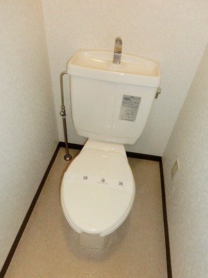 Toilet. Toilet