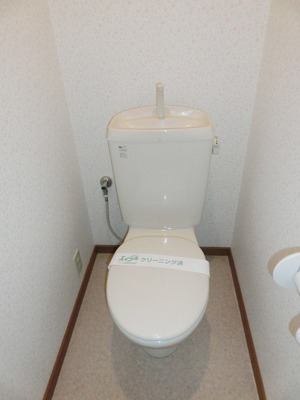 Toilet. Standard toilets