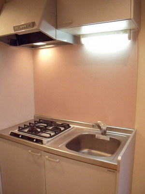 Kitchen. This is a system kitchen of gas two-burner