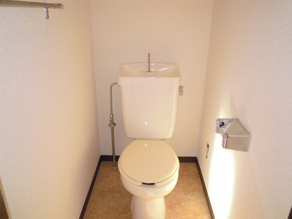 Toilet. State after the cross-exchange (the same building in a separate room of the image)