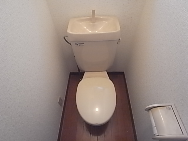 Other. It is a toilet with a clean