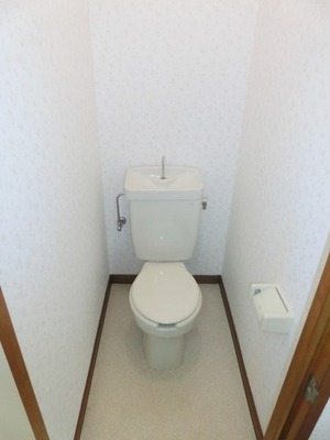 Toilet. Toilet