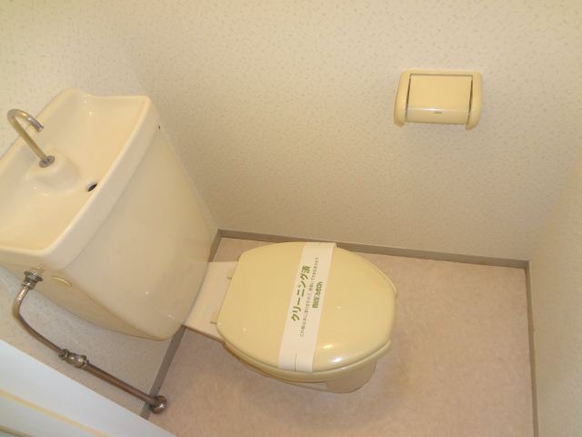 Toilet. Western-style toilet